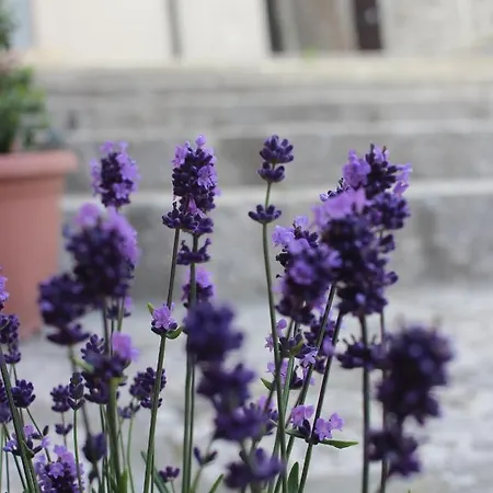 Al Gravattone Bed and Breakfast