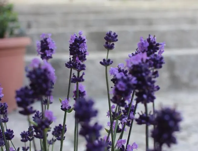 Al Gravattone Bed and Breakfast